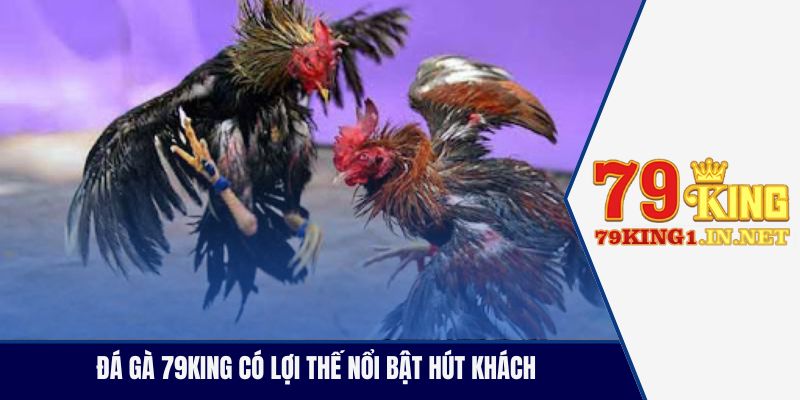 Đá gà 79King có lợi thế nổi bật hút khách