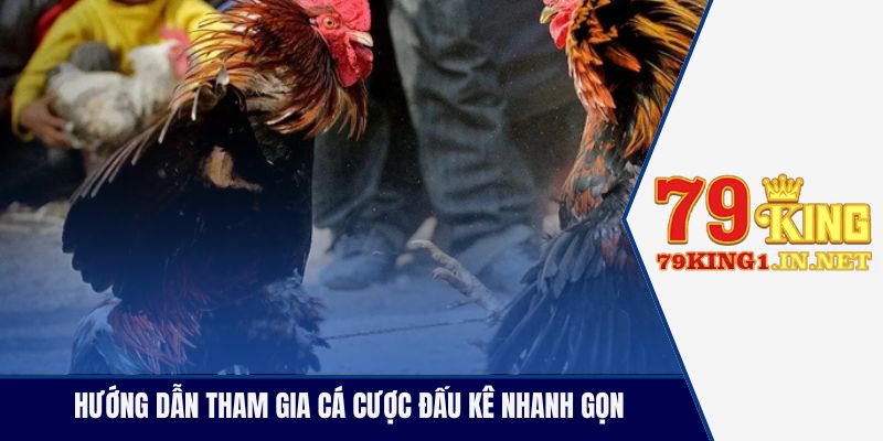 Hướng dẫn tham gia cá cược đấu kê nhanh gọn