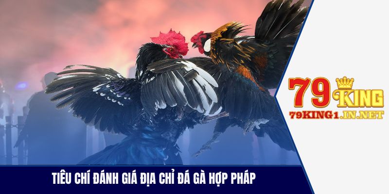 Tiêu chí đánh giá địa chỉ đá gà hợp pháp